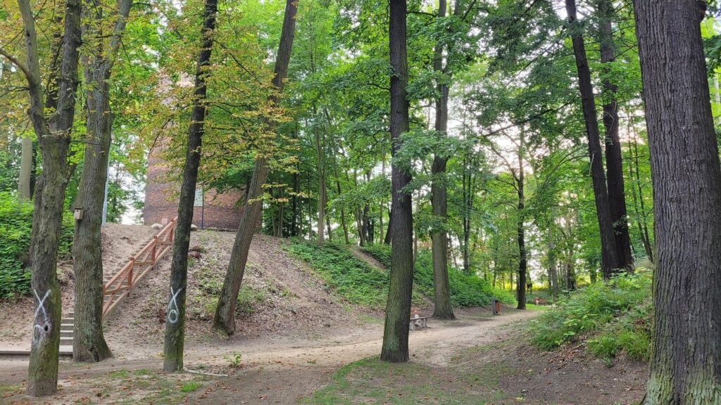 PRZEWÓZ, widok na wieżę, 2024 (fot. R. Biel, Katalog Zamków i Dworów Obronnych Śląska [https://zamki.pwr.edu.pl/]. Licencja: CC BY-NC 4.0 [https://creativecommons.org/licenses/by-nc/4.0/])