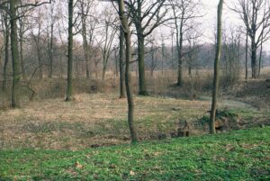 Chałupki, centrum założenia obronnego
