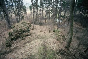 Czarny Bór wnętrze zamku