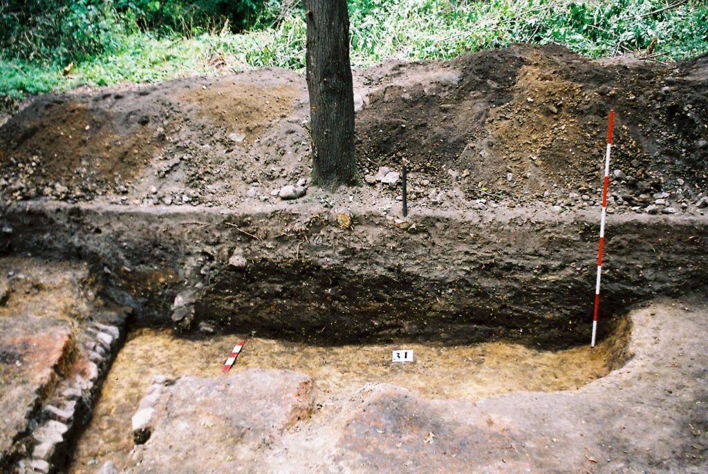 GRODZISZCZE, człon północny grodu, ziemianka z przełomu XII i XIII wieku (fot. A. Boguszewicz, Katalog Zamków i Dworów Obronnych Śląska [https://zamki.pwr.edu.pl/]. Licencja: CC BY-NC 4.0 [https://creativecommons.org/licenses/by-nc/4.0/])