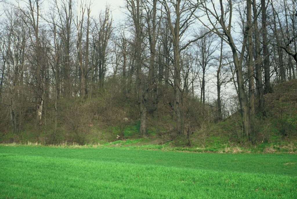 GRODZISZCZE, dwa człony grodu oddzielone suchą fosą (fot. A. Boguszewicz, Katalog Zamków i Dworów Obronnych Śląska [https://zamki.pwr.edu.pl/]. Licencja: CC BY-NC 4.0 [https://creativecommons.org/licenses/by-nc/4.0/])