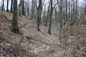 WILKÓW, fosa założenia obronnego, stan 2011, fot. A. Boguszewicz
