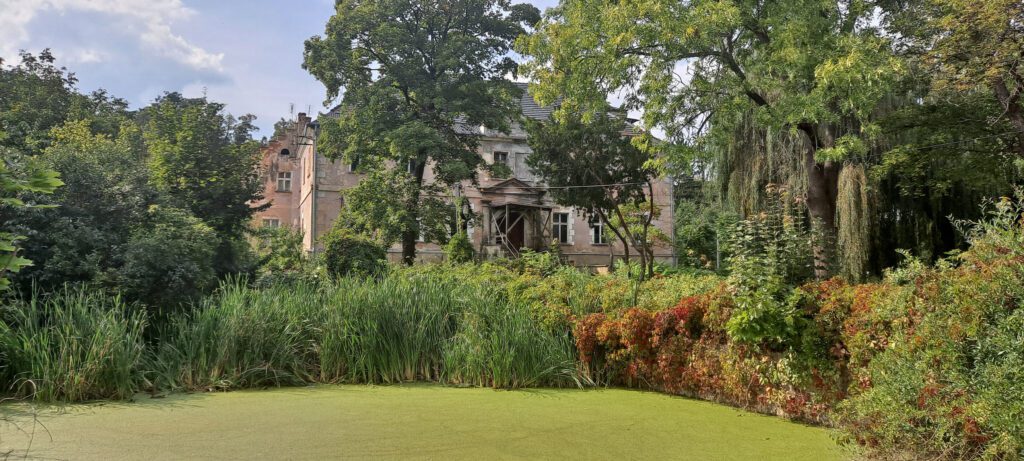 KĄTKI, widok na pałac od wschodu, 2023 (fot. P. Błoniewski , Katalog Zamków i Dworów Obronnych Śląska [https://zamki.pwr.edu.pl/]. Licencja: CC BY-NC 4.0 [https://creativecommons.org/licenses/by-nc/4.0/])