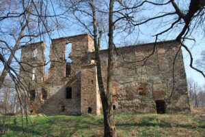 PIELASZKOWICE, skrzydło zach. z basztą latrynową (fot. P. Błoniewski)