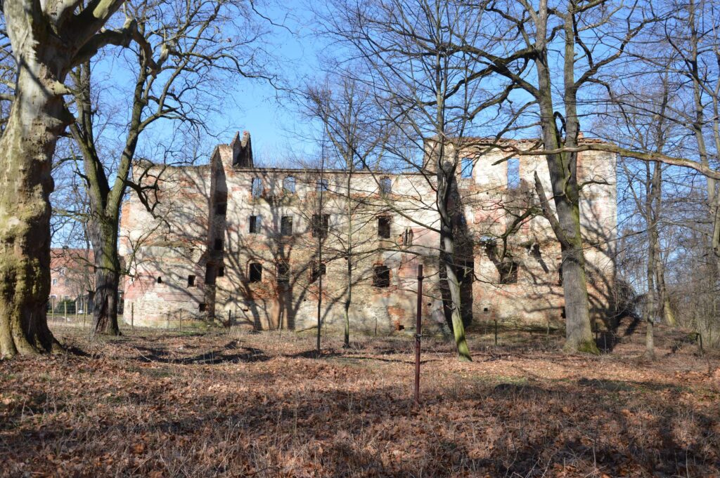 PIELASZKOWICE, skrzydło wschodnie w widoku ze wsch. (fot. M. Chorowska)
