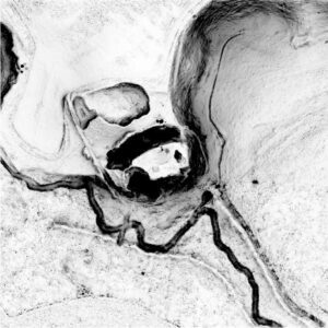 sky view factor (stopień widoczności nieba) otoczenia stanowiska na podstawie numerycznego modelu terenu (oprac. M. Legut-Pintal, P. Rajski, Katalog Zamków i Dworów Obronnych Śląska [https://zamki.pwr.edu.pl/]. Licencja: CC BY-SA 4.0 [https://creativecommons.org/licenses/by-nc/4.0/])
