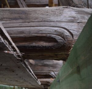 JĘDRZYCHÓW, Wtórnie użyte profilowane belki stropowe datowane dendrochronologicznie na czas po 1660 r., przed demontażem (fot. P. Błoniewski)