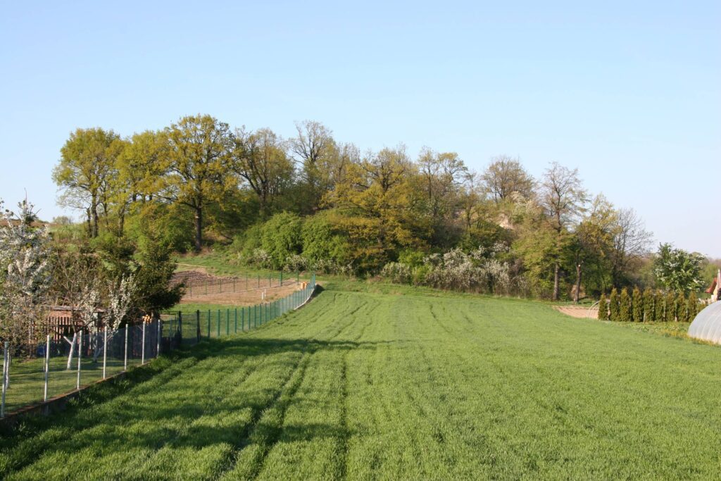 WIERZBNA-Skałka, widok obecny (fot. M. Chorowska)