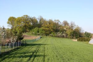 WIERZBNA-Skałka, widok obecny (fot. M. Chorowska)