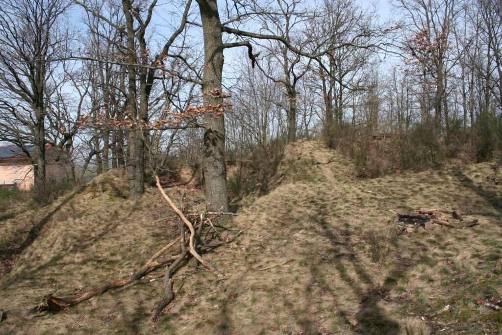 WIERZBNA, Góra Strzelecka, stan współczesny, 2005 (fot. A. Boguszewicz)