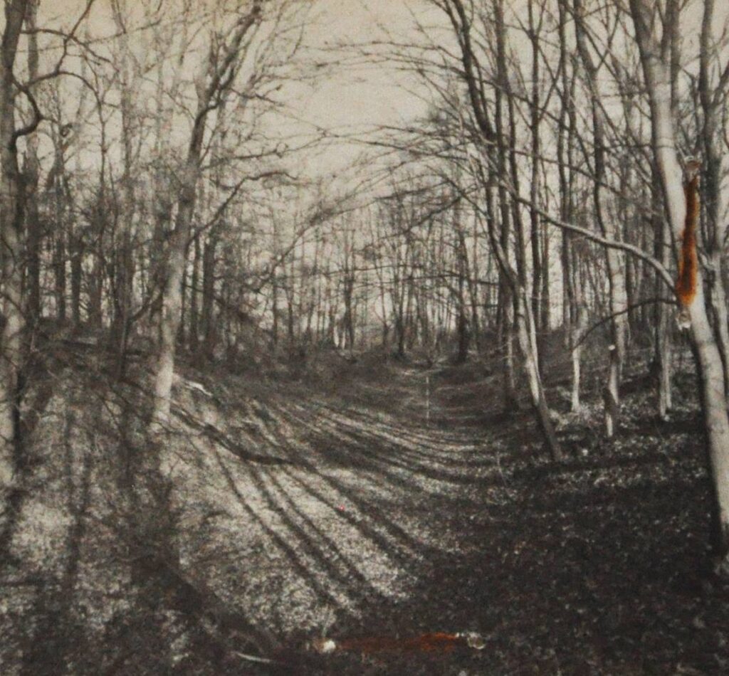 GAJKÓW, widok fragmentu kopca, fosy i odcinka wał zewnętrznego wg fotografii z 1978 r. (archiwum WUOZ Wrocław)