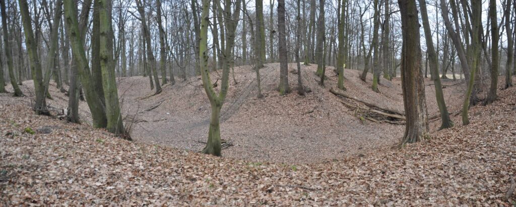 GAJKÓW, widok grodziska stożkowatego od strony południowo-wschodniej (fot. D. Nowakowski)