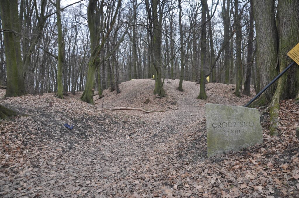 GAJKÓW, widok grodziska stożkowatego od strony północno-zachodniej (fot. D. Nowakowski)