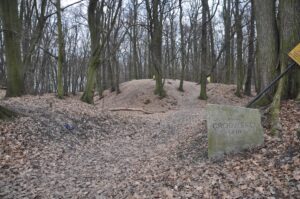 GAJKÓW, widok grodziska stożkowatego od strony północno-zachodniej (fot. D. Nowakowski)