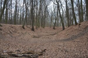GAJKÓW, widok fragmentu kopca, fosy i odcinka wał zewnętrznego (fot. D. Nowakowski)