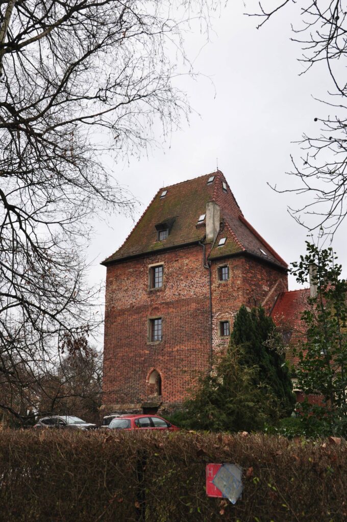 BIESTRZYKÓW, widok wieży od strony północnej (fot. D. Nowakowski , Katalog Zamków i Dworów Obronnych Śląska [https://zamki.pwr.edu.pl/]. Licencja: CC BY-NC 4.0 [https://creativecommons.org/licenses/by-nc/4.0/])