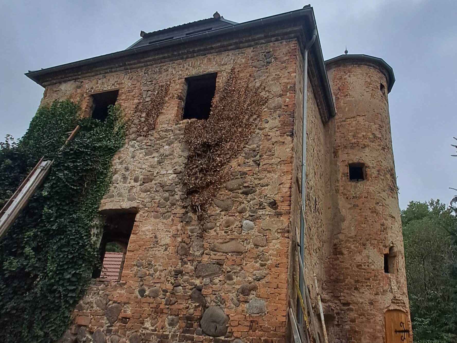 DALKÓW, widok wieży od strony południowej (fot. D. Nowakowski)