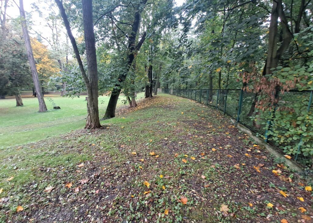 KĄTY WROCŁAWSKIE, widok południowo-wschodniego odcinka wału (fot. D. Nowakowski)