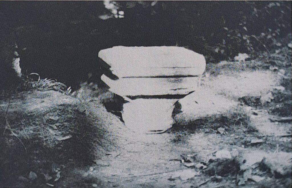 ROKITNICA, głowica kolumienki przezrocza (biforium?) (archiwum IHASiT PWr.)