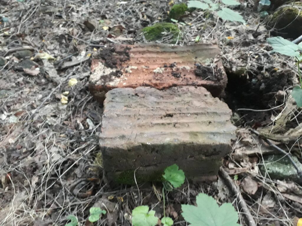 WROCŁAW-STABŁOWICE, zalegające na powierzchni fragmenty cegieł palcówek (fot. D. Nowakowski)