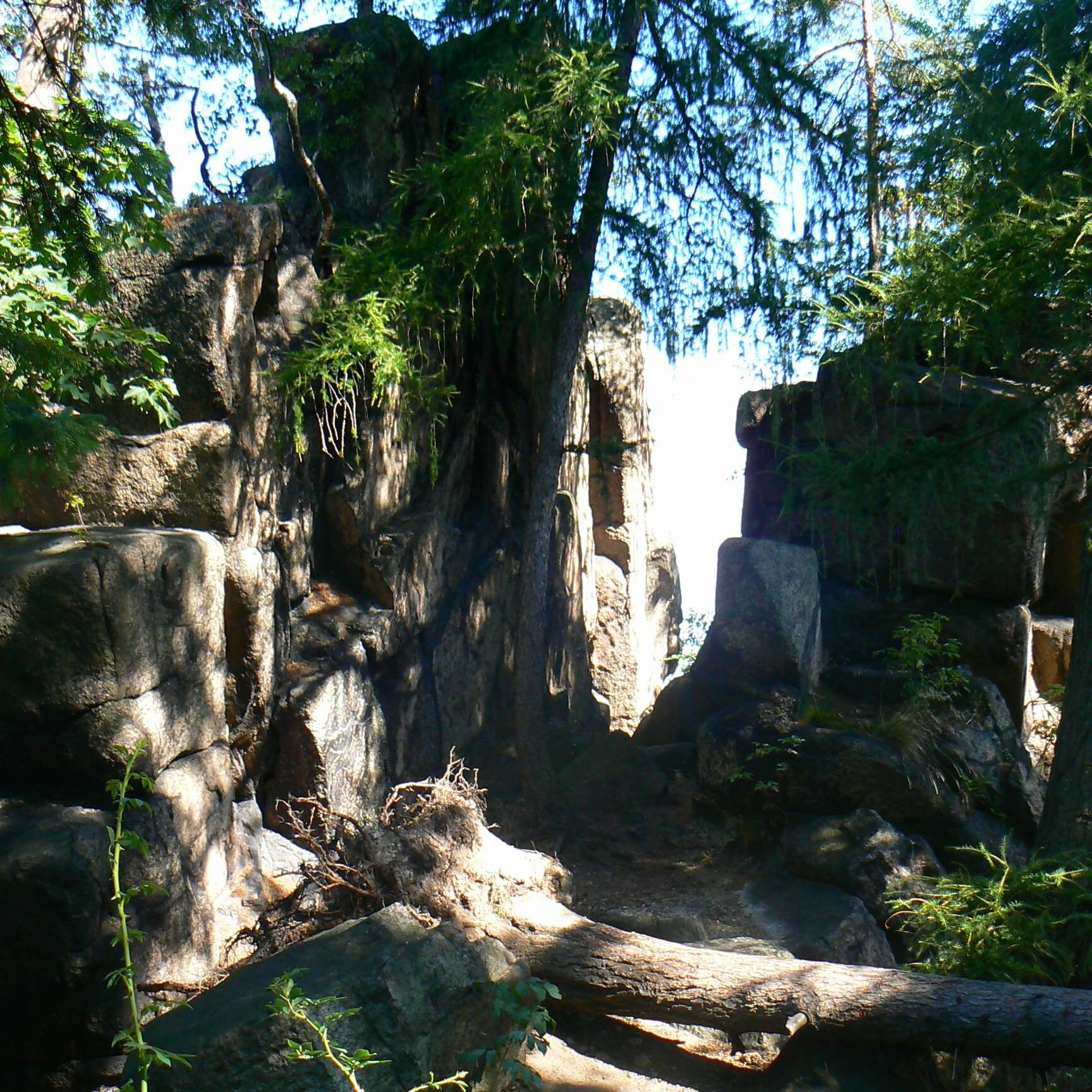 KARPNIKI, zamek Sokolec, widok na obecne ruiny (fot.