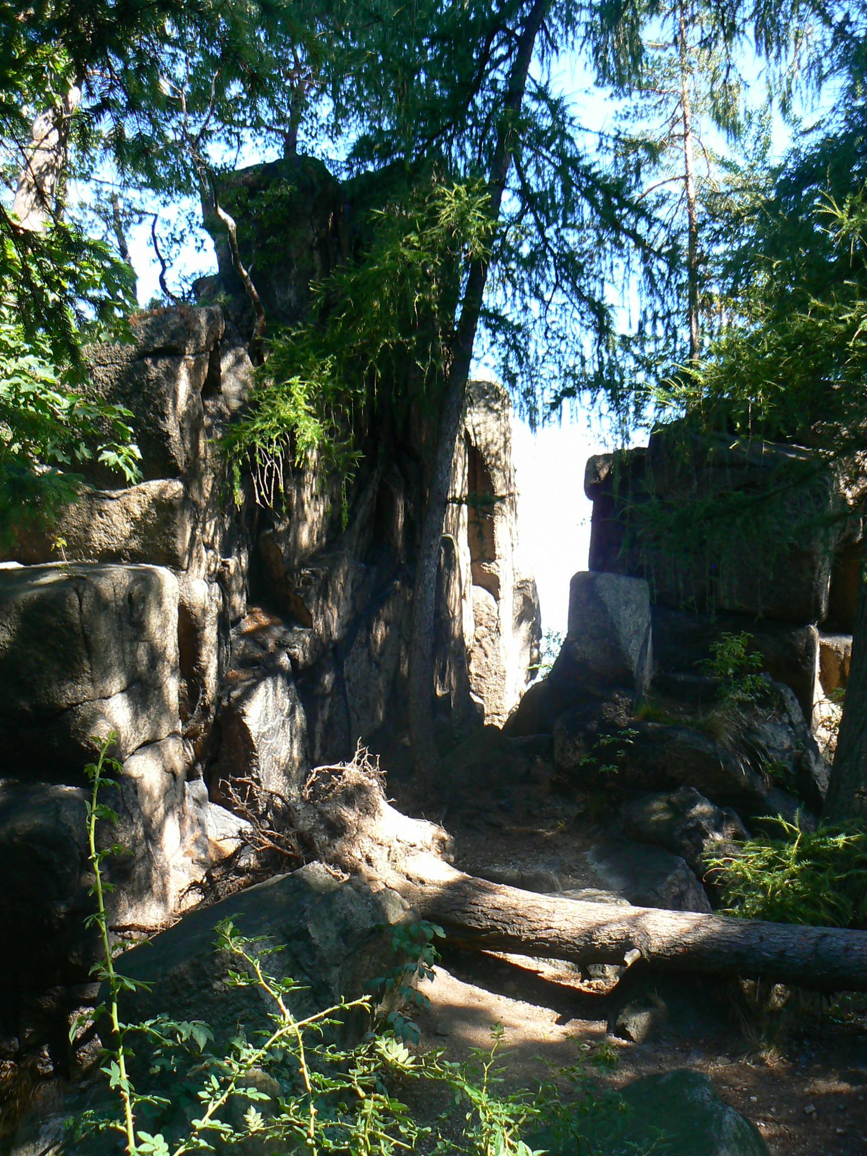 KARPNIKI, zamek Sokolec, widok na obecne ruiny (fot.