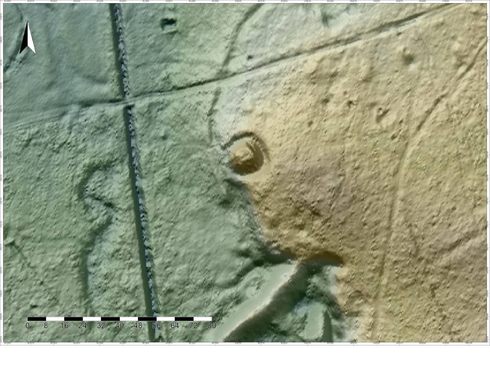 PUSZYNA, st. 7, cieniowany model reliefu (315˚ i 75˚), svf, (oprac. M. Legut-Pintal, Katalog Zamków i Dworów Obronnych Śląska [https://zamki.pwr.edu.pl/]. Licencja: CC BY-NC 4.0 [https://creativecommons.org/licenses/by-nc/4.0/])