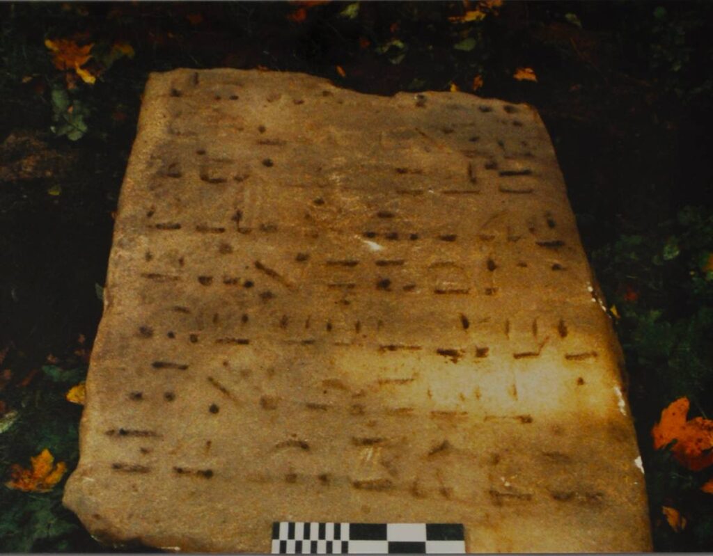 ŚLĘZA-LASOWO, fragment macewy z XIV w. odkryty w obrębie renesansowego domu (za: Burnita, Dąbrowa, Lasota 2005).