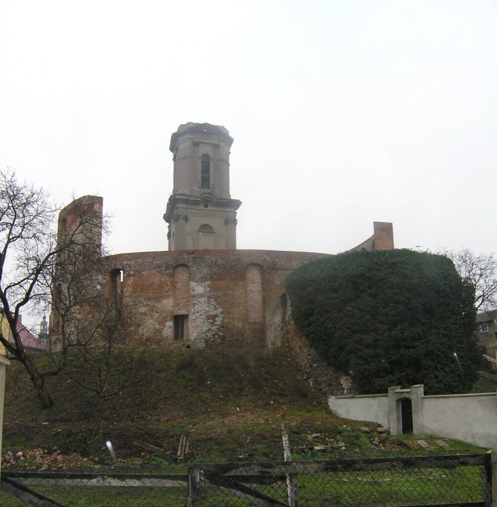 SZPROTAWA, widok ruin zamku-zboru od strony południowej, 2007 r. (fot. D. Nowakowski)