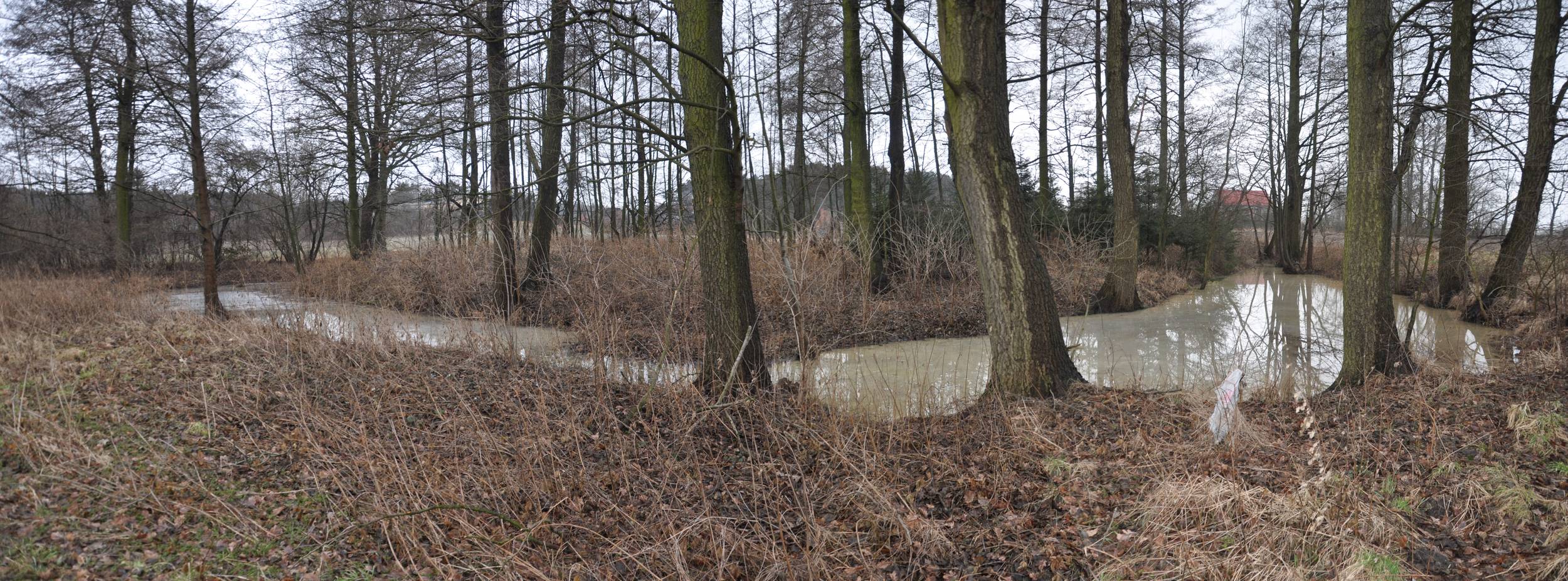 ŻERKÓWEK, widok gródka os strony północnej, 2013 r. (fot. D. Nowakowski)