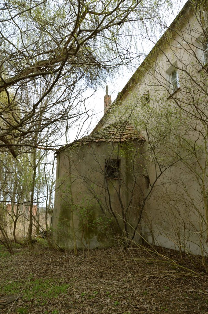 UCIECHÓW, widok na kolistą przybudówkę – domniemaną kuchnię dworską, 2026 r. (fot. T. Dudziak)