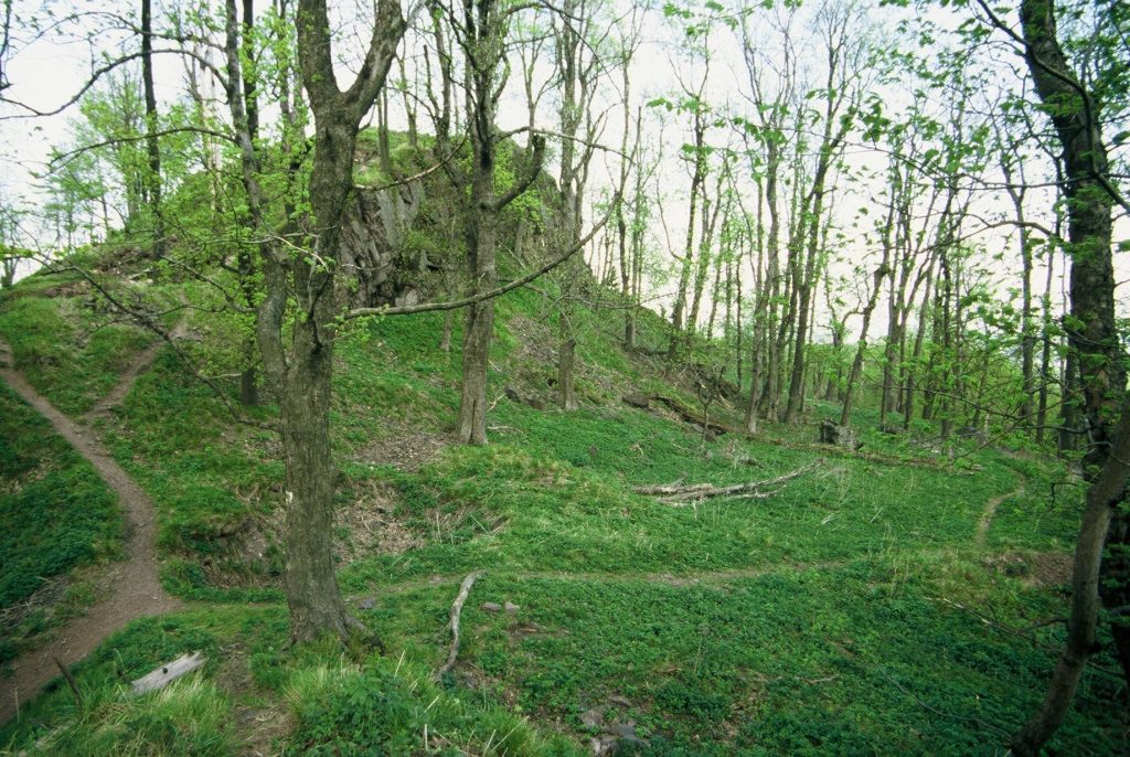 ROGOWIEC, zamek dolny; stan z 2006 r. (fot. A. Boguszewicz)