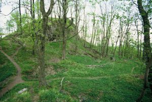 ROGOWIEC, zamek dolny; stan z 2006 r. (fot. A. Boguszewicz)