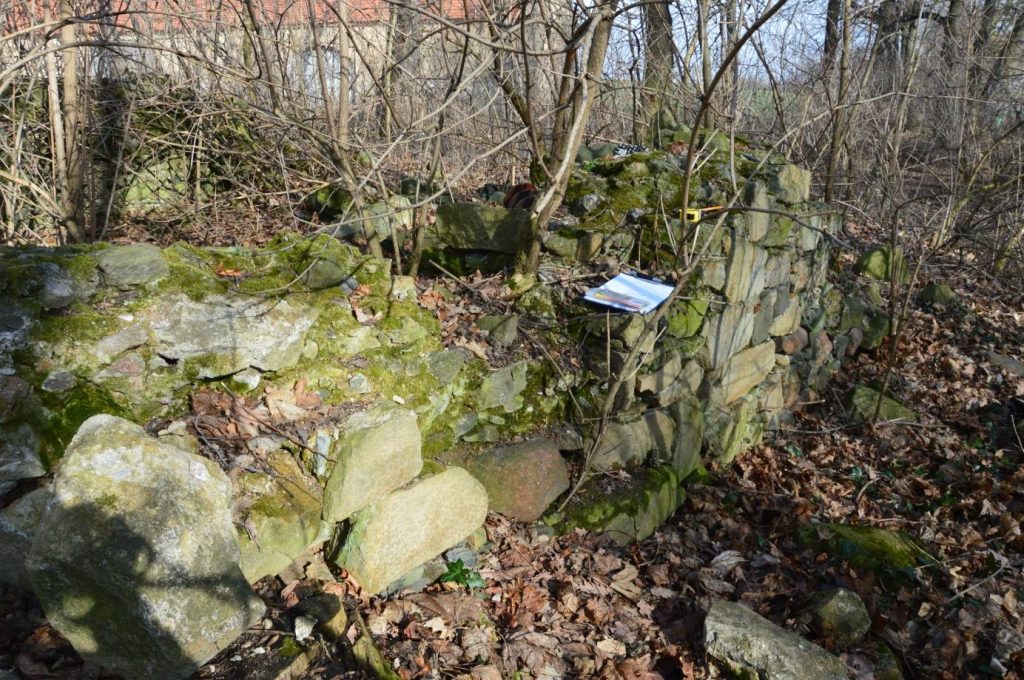 WIADRÓW, dwór dolny (zachodni); widok na pozostałości murów – kurtyna południowa (fot. P. Błoniewski 2016)