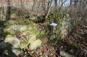 WIADRÓW, dwór dolny (zachodni); widok na pozostałości murów – kurtyna południowa (fot. P. Błoniewski 2016)