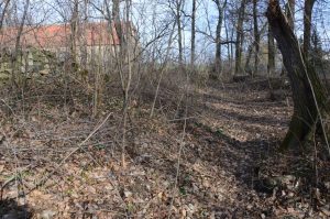 WIADRÓW, dwór dolny (zachodni); widok fosę i wał w kierunku wschodnim (fot. P. Błoniewski 2016)