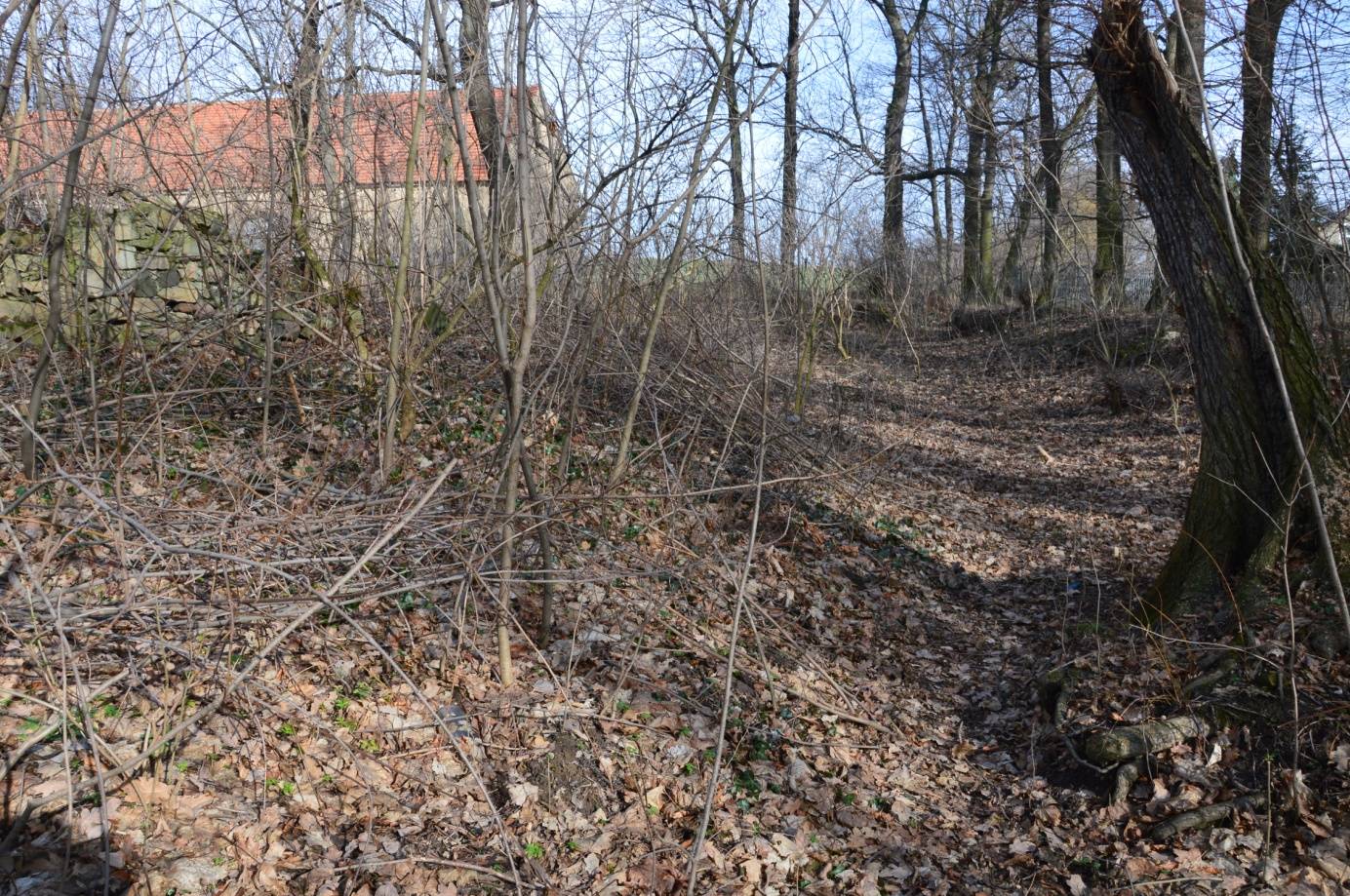 WIADRÓW, dwór dolny (zachodni); widok na fosę i wał w kierunku wschodnim (fot. P. Błoniewski 2016)