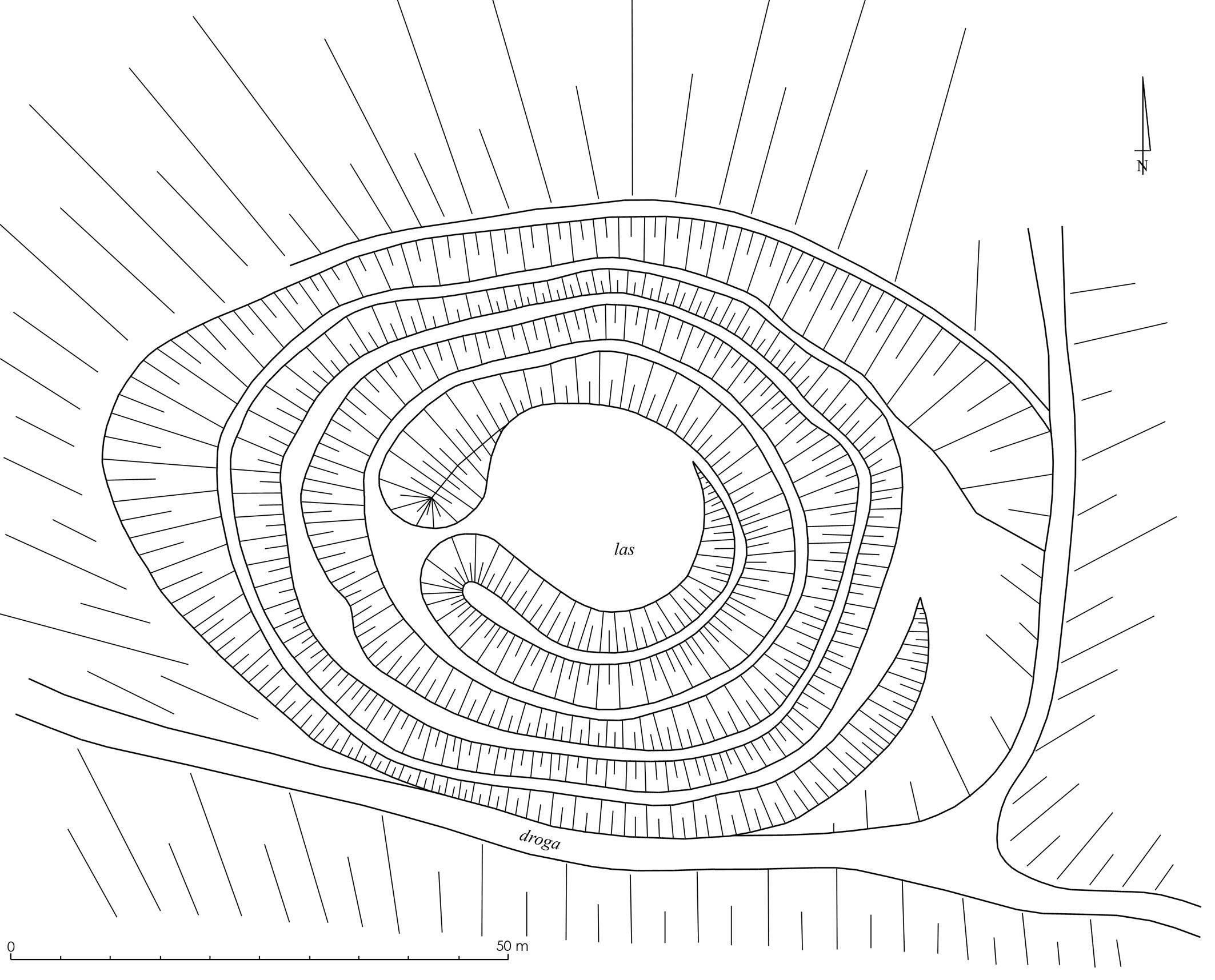 PIETRZYKÓW, plan obiektu wsch. (Boguszewicz 2010, s. 245, ryc. 201)