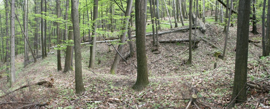 PIETRZYKÓW, Założenie obronne w widoku od zach. (Boguszewicz 2010, s. 244, ryc. 200)