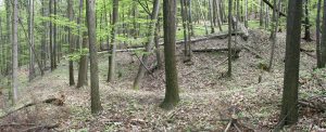 PIETRZYKÓW, Założenie obronne w widoku od zach. (Boguszewicz 2010, s. 244, ryc. 200)