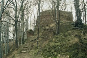 NOWY DWÓR, zamek górny od płd. (fot. A. Boguszewicz 1998)