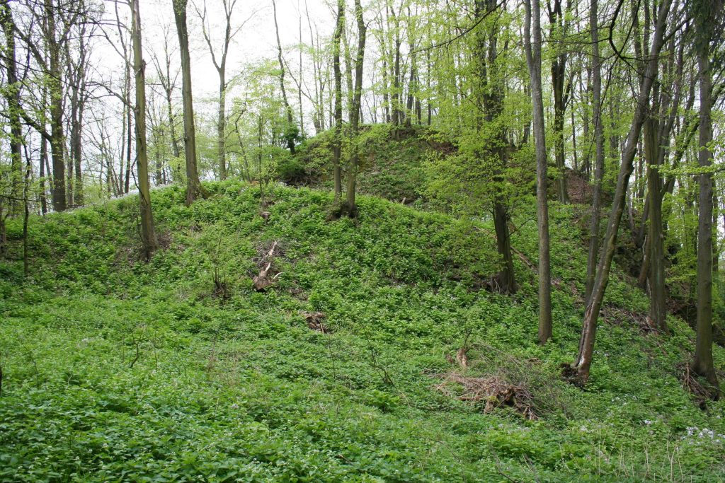 PIETRZYKÓW, założenie obronne od zach. (fot. A. Boguszewicz 2010)