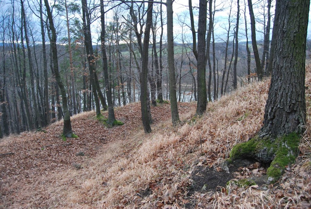 PIETRZYKÓW, zachodnia część grodziska (fot. P. Błoniewski 2017)