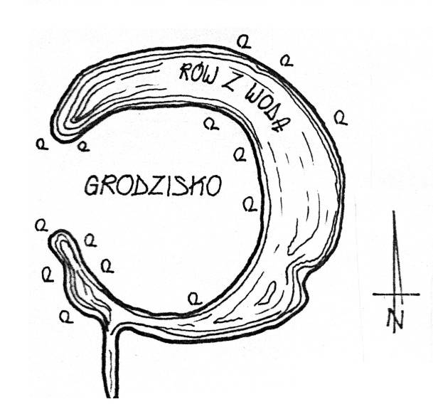 PIESZYCE, Rogalik – plan gródka (Nowakowski 2017, s. 386, il.279)