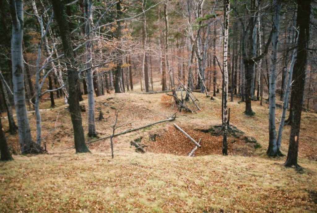 PIESZYCE-ROŚCISZÓW, południowy człon warowni (fot. A. Boguszewicz 1993)
