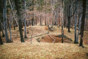 PIESZYCE-ROŚCISZÓW, południowy człon warowni (fot. A. Boguszewicz 1993)