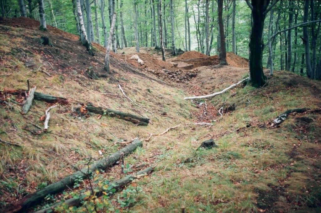 PIESZYCE–ROŚCISZÓW, fosa i wał głównego członu warowni (fot. A. Boguszewicz 1993)