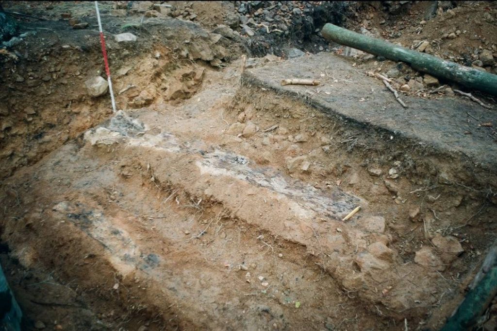 PIESZYCE–ROŚCISZÓW, belki wału zewnętrznego głównego członu warowni (fot. A. Boguszewicz 1993)