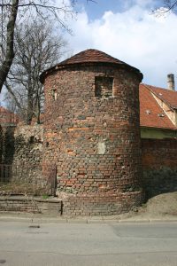 PIESZYCE, basteja narożna w murze okalającym „podzamcze” (fot. A. Kwaśniewski)