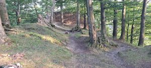 NOWY DWÓR, zamek górny (fot. A. Boguszewicz 1998)